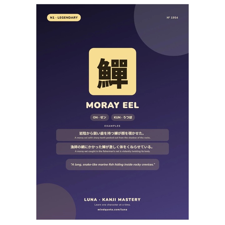 Poster infografic Kanji 'Moray Eel', carton 250 g/m², A4 (21 x 29,7 cm), mov inchis/bej, VP-4002501125066