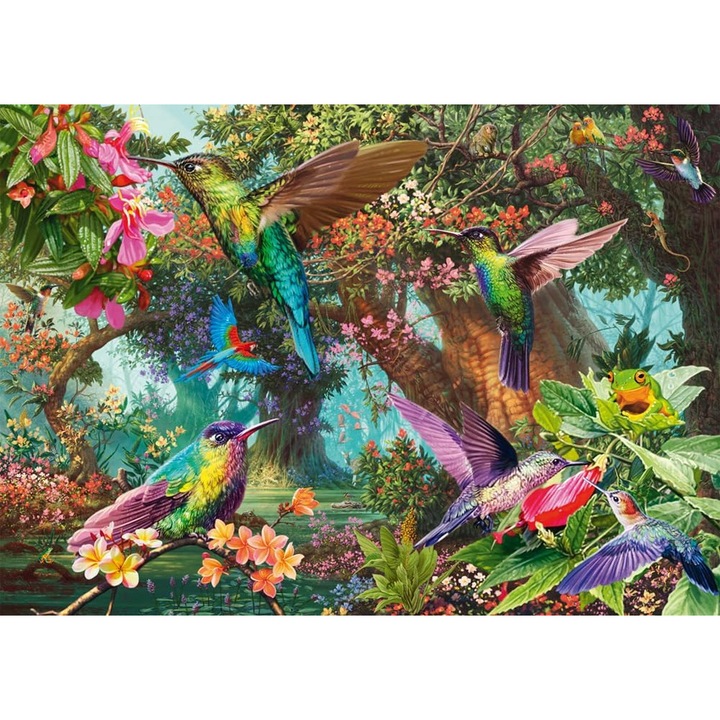 Пъзел Schmidt Jocul Colibri, 1000 части