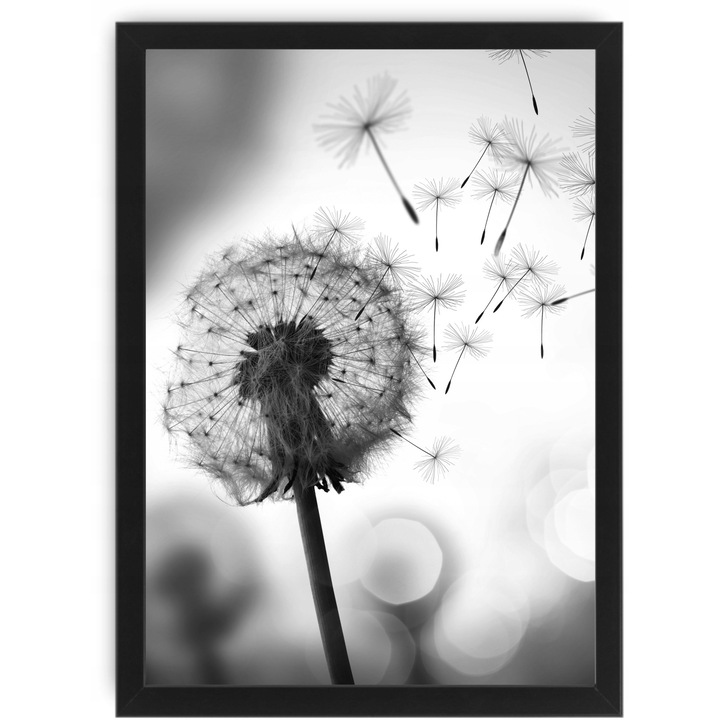 Tablou Puf 24x33 cm, Format A4, Rama Neagra, Decor Perete