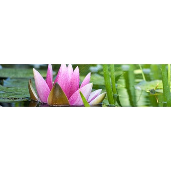 Panou decorativ DEGRETS 91048 Lotus roz 61 cm x 2.44 m x 3 mm Panou decorativ DEGRETS 91048 Lotus roz 61 cm x 2.44 m x 3 mm