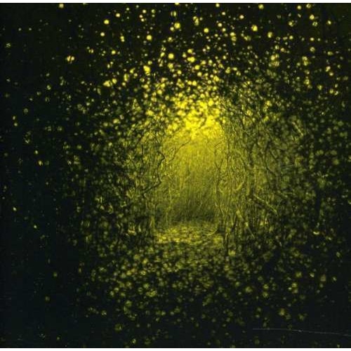 Antlers - Burst Apart (CD)