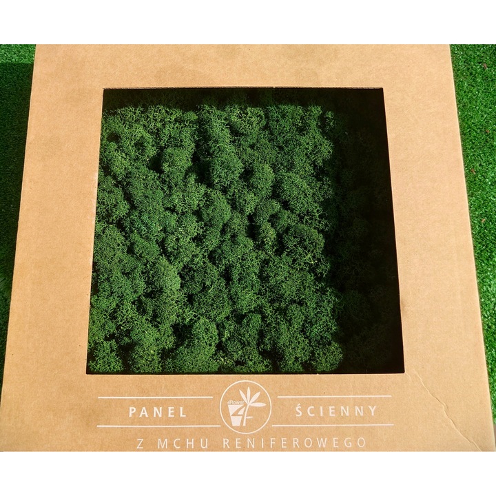 Tablou Decorative din Muschi Renifer 26x26 cm, Verde
