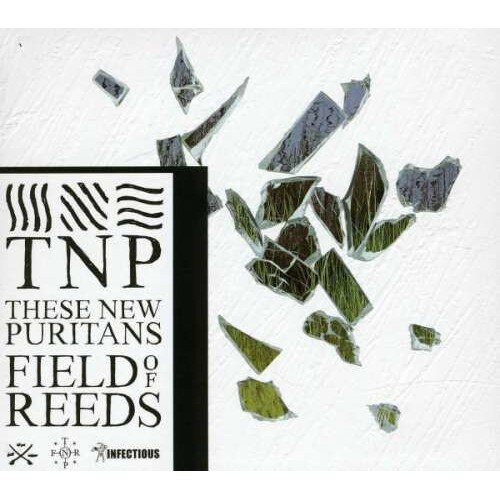 These New Puritans - Field of Reeds -Ltd- (CD)