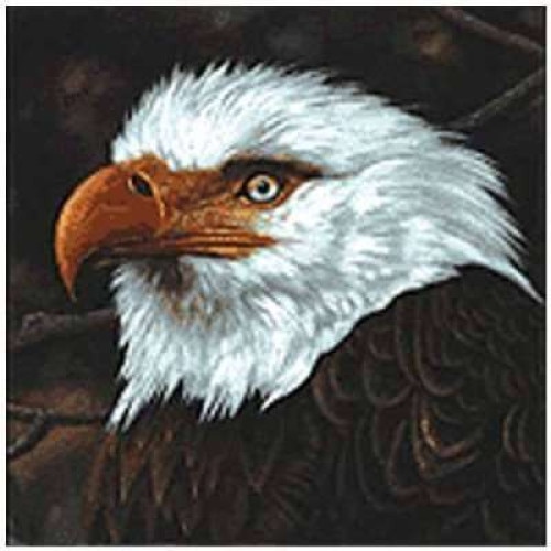 Mogwai - Hawk Is Howling (CD)