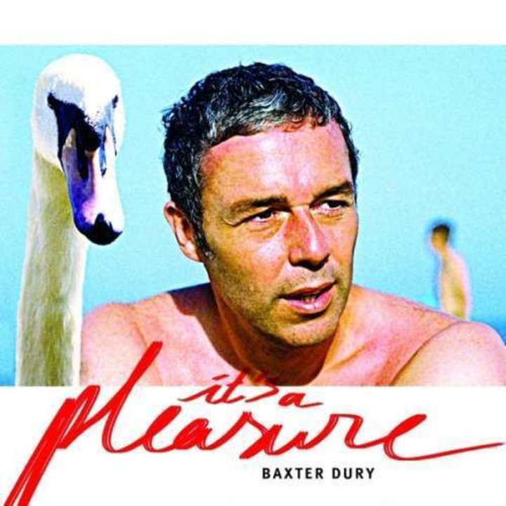 Baxter Dury - Its A Pleasure (CD)
