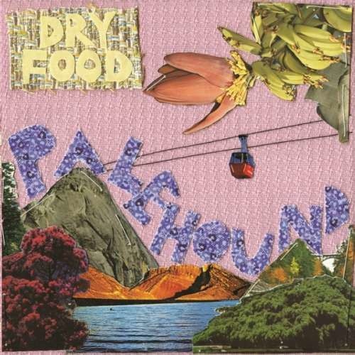 Palehound - Dry Food (CD)