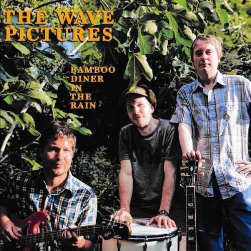 Wave Pictures - Bamboo Diner In the Rain (CD)