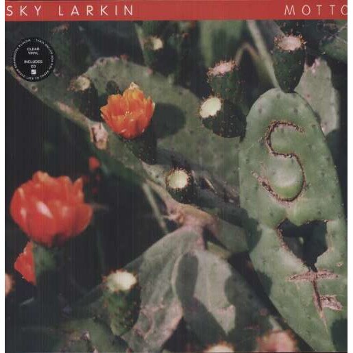Sky Larkin - Motto (LP)