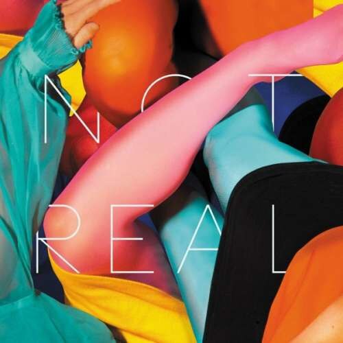 Stealing Sheep - Not Real (LP)