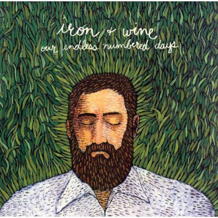 Iron & Wine - Our Endless Numbered Days (LP)