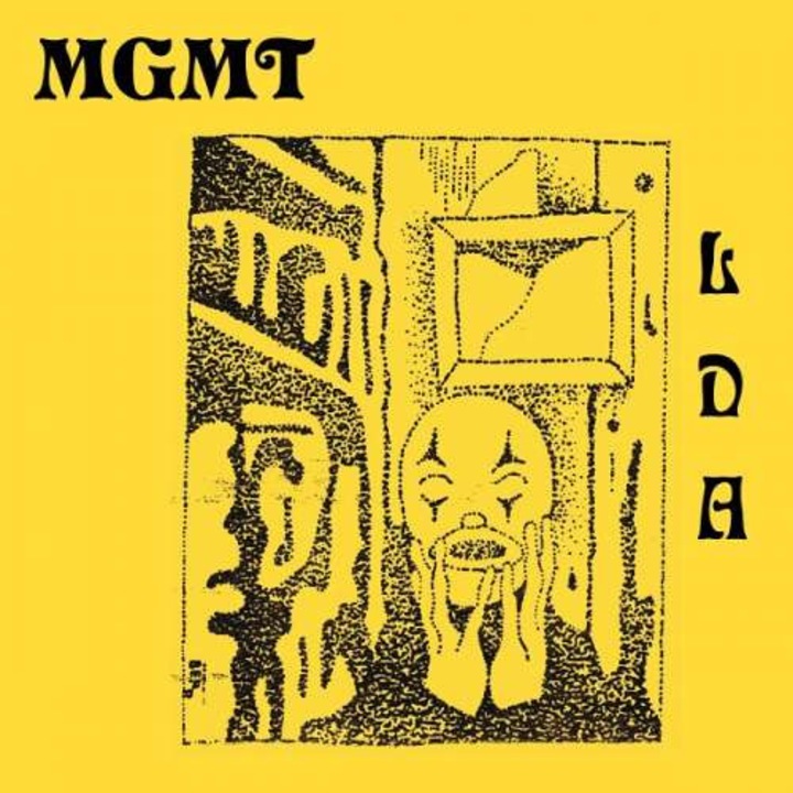 Mgmt - Little Dark Age(180g Audiophile Pressing) - 2LP