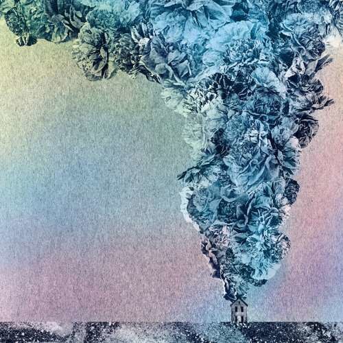 Daughn Gibson - Carnation (CD)