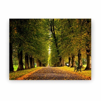 Tablou Canvas Autumn Forest - 60 x 40 cm Tablou Canvas Autumn Forest - 60 x 40 cm