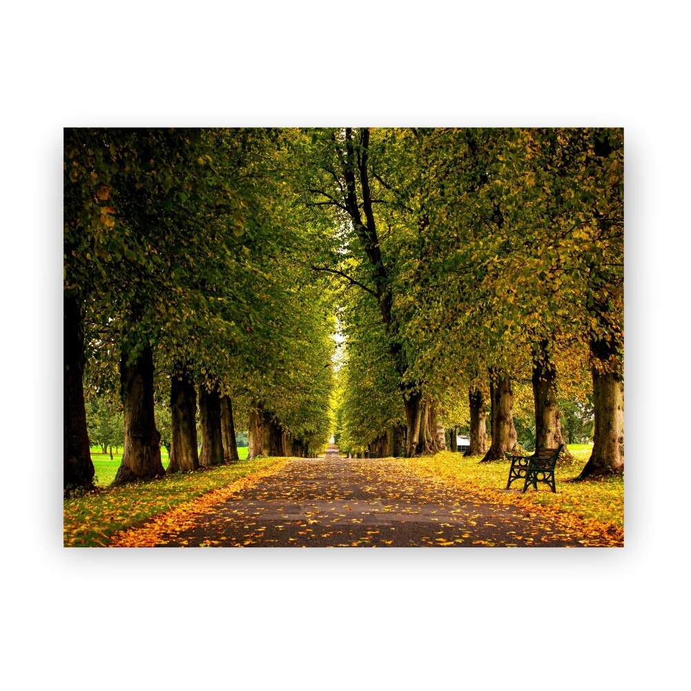 Tablou Canvas Autumn Forest - 80 x 60 cm