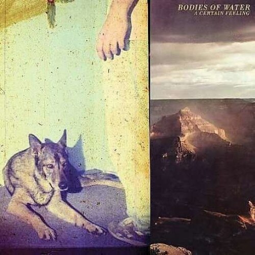 Bodies of Water - A Certain Feeling (CD)