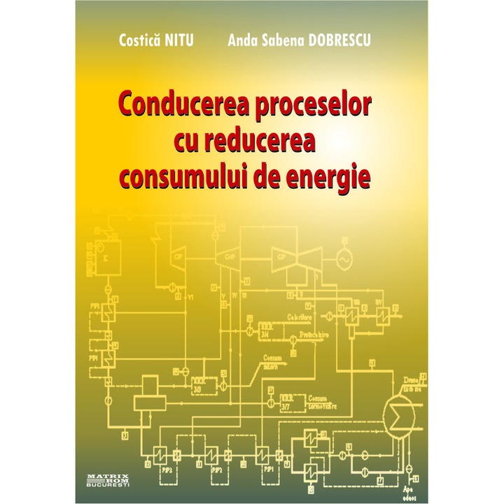 Conducerea proceselor cu reducerea consumului de energie, Anda Sabena Dobrescu, Costica Nitu