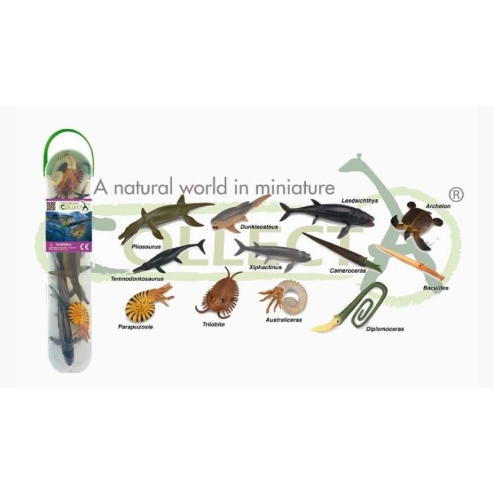 Set figurine Mini animale preistorice marine Collecta