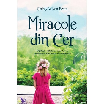 Miracole din cer - Christy Wilson Beam Miracole din cer - Christy Wilson Beam