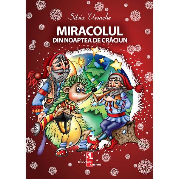 Miracolul din noaptea de Craciun - Silvia Ursache