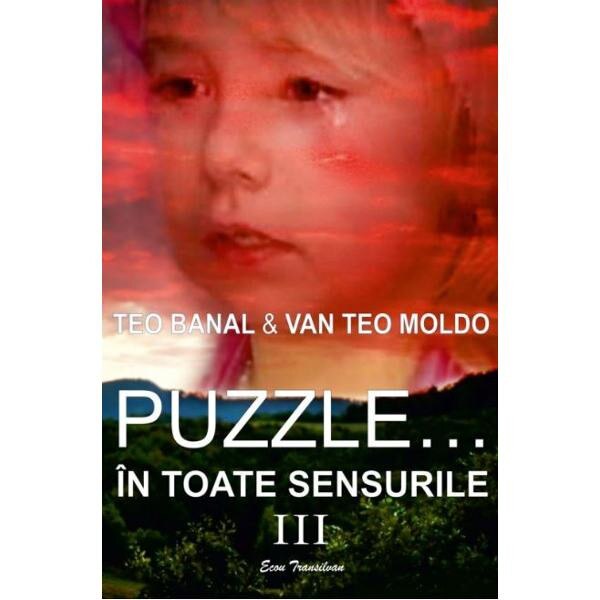 Puzzle... in toate sensurile Vol. 3 - Teo Banal, Van Teo Moldo