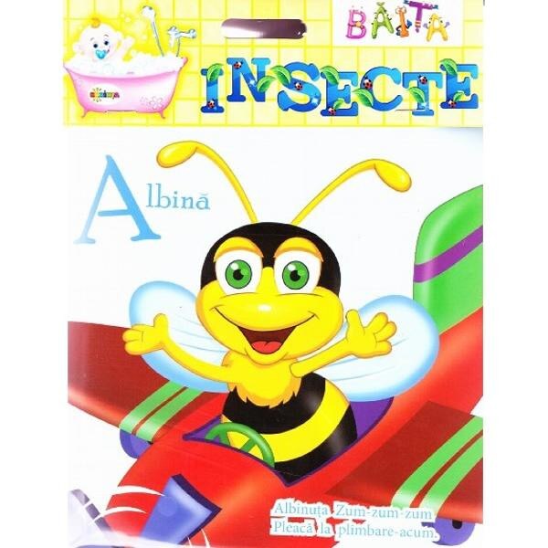 Baita - Insecte