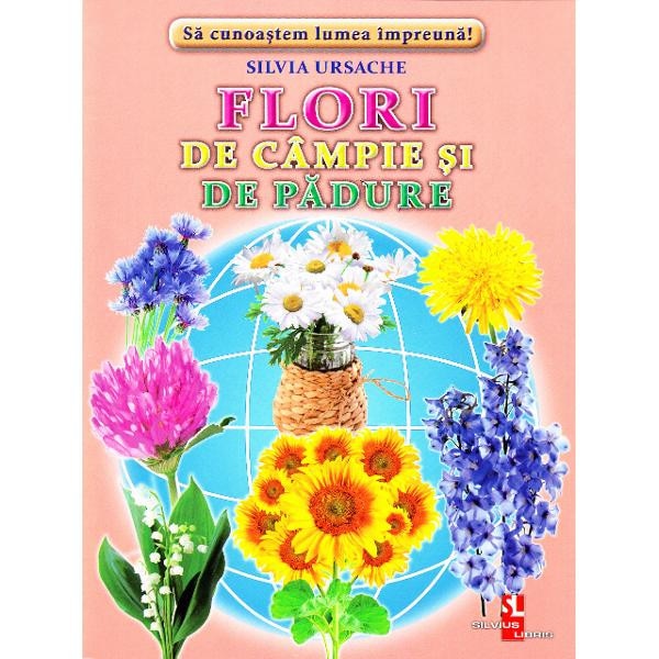 Flori de campie si de padure - Cartonase - Silvia Ursache