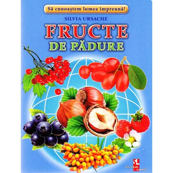 Fructe de padure - Cartonase - Silvia Ursache