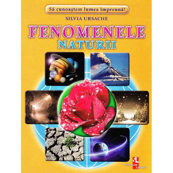 Fenomenele Naturii - Cartonase - Silvia Ursache
