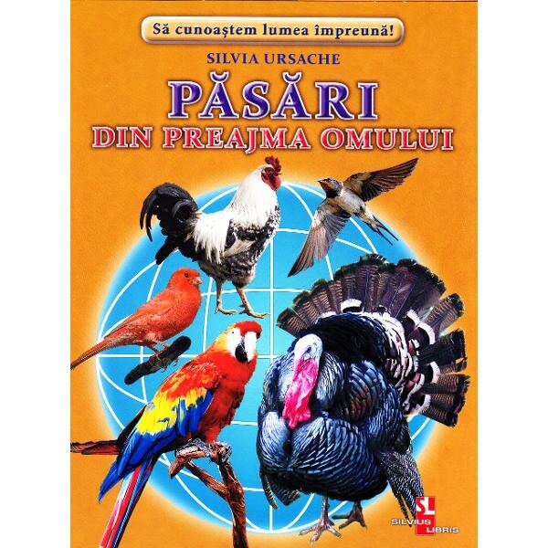 Pasari din preajma omului - Cartonase - Silvia Ursache