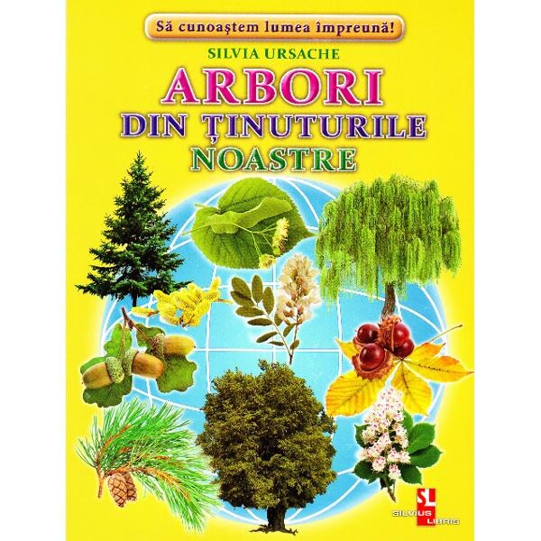 Arbori din tinuturile noastre - Cartonase - Silvia Ursache