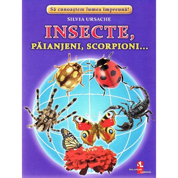 Insecte, Paianjeni, Scorpioni... - Cartonase - Silvia Ursache