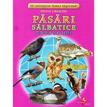 Pasari salbatice de pe la noi - Cartonase - Silvia Ursache Pasari salbatice de pe la noi - Cartonase - Silvia Ursache