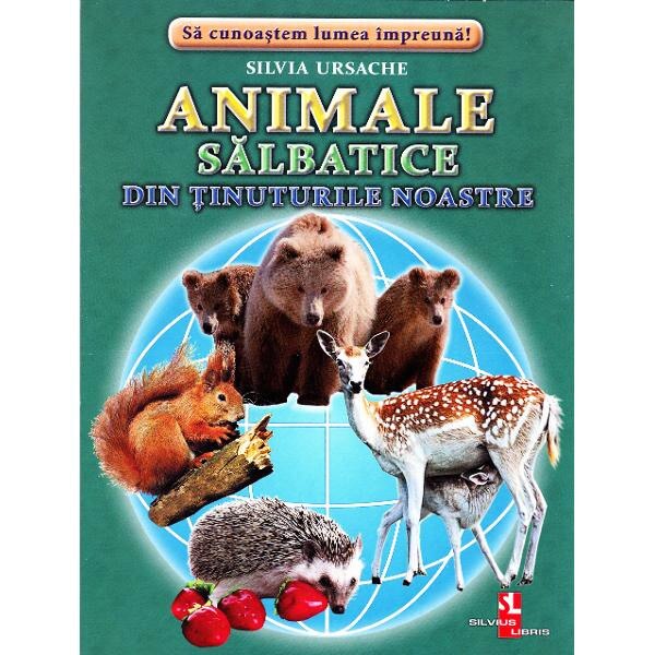 Animale Salbatice Din Tinuturile Noastre Cartonase Silvia Ursache Emag Ro