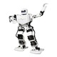 H3S Humanoid robot