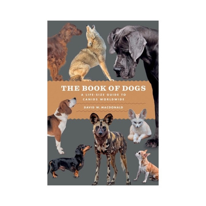 The Book Of Dogs: A Life-size Guide To Canids Worldwide - David W. Macdonald