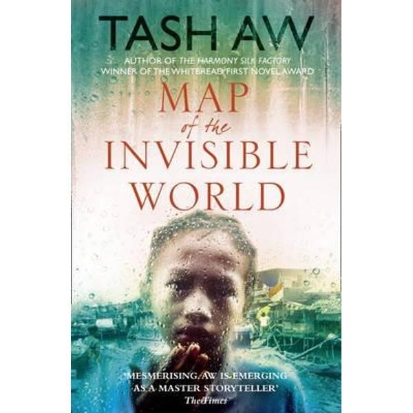 Map of the Invisible World