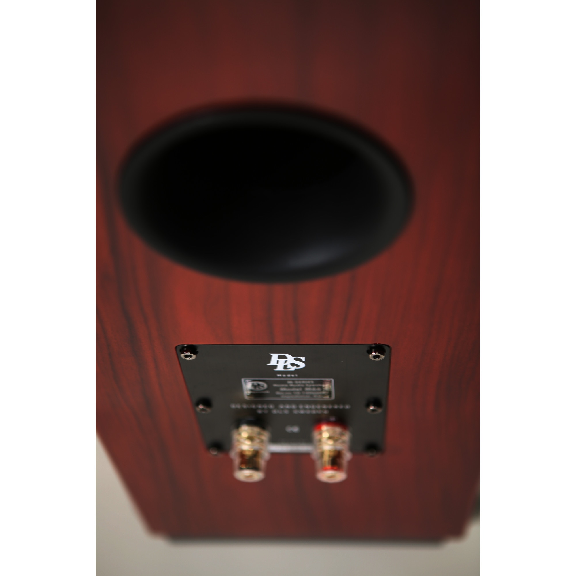 Boxe DLS M66 Rosewood Piano High End Floorstanding Speaker