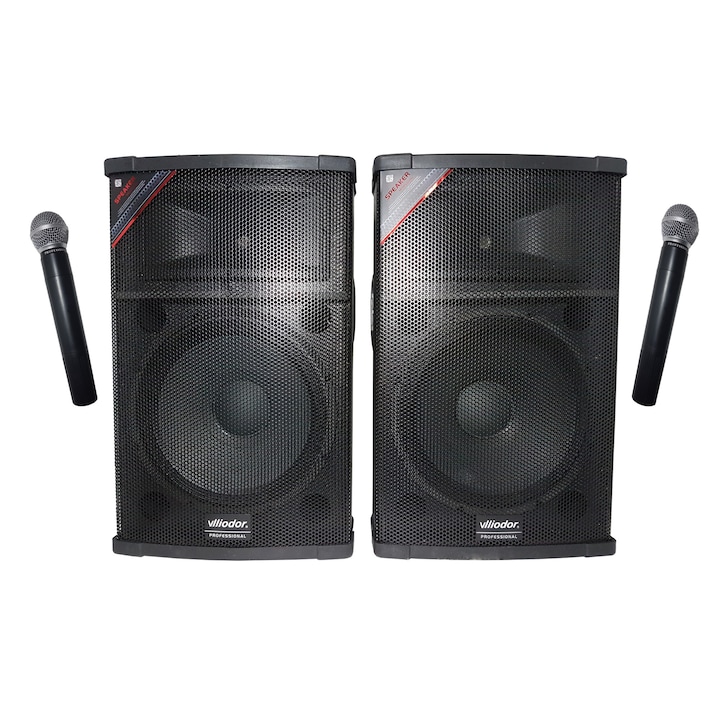 Boxe Active Profesionale 600 W 30 cm , 2 Microfoane Wi-Fi, Karaoke , Bluetooth , USB , Card , Radio