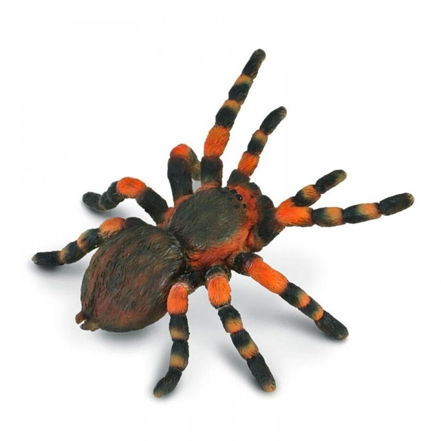 Figurina Tarantula Mexicana cu genunchi rosii, Collecta Multicolor