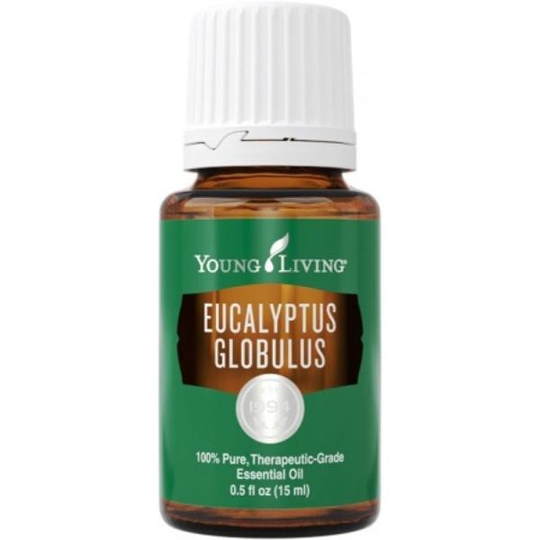Ulei esential Young Living, Eucalyptus Globulus, 15 ml