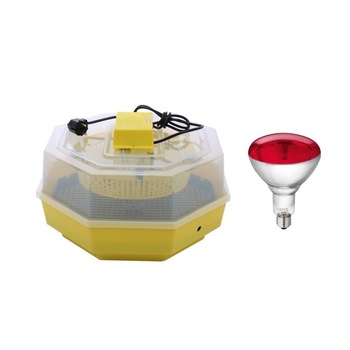 Pachet Incubator electric pentru oua, Cleo 5, capacitate 60 oua + Bec infrarosu pentru pui, E27, 250W, Avide Pachet Incubator electric pentru oua, Cleo 5, capacitate 60 oua + Bec infrarosu pentru pui, E27, 250W, Avide