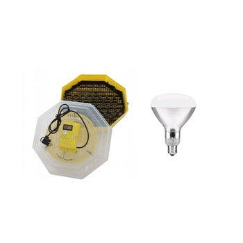 Pachet Incubator electric pentru oua, Cleo 5DTH, cu dispozitiv intoarcere, termometru, termohigrometru + Bec infrarosu pentru pui, E27, 150W, Avide Pachet Incubator electric pentru oua, Cleo 5DTH, cu dispozitiv intoarcere, termometru, termohigrometru + Bec infrarosu pentru pui, E27, 150W, Avide