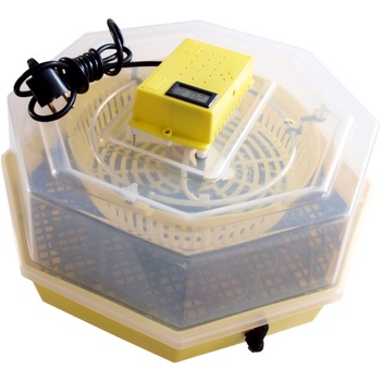 Incubator Cleo 5TGP - cu termometru digital si intoarcere semi-automata oua de gaina si prepelita + cadou Ghid profesional de incubare + asistent incubare Incubator Cleo 5TGP - cu termometru digital si intoarcere semi-automata oua de gaina si prepelita + cadou Ghid profesional de incubare + asistent incubare