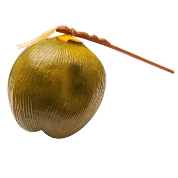 Decoratiune nuca de cocos, interior/exterior, Verde Decoratiune nuca de cocos, interior/exterior, Verde