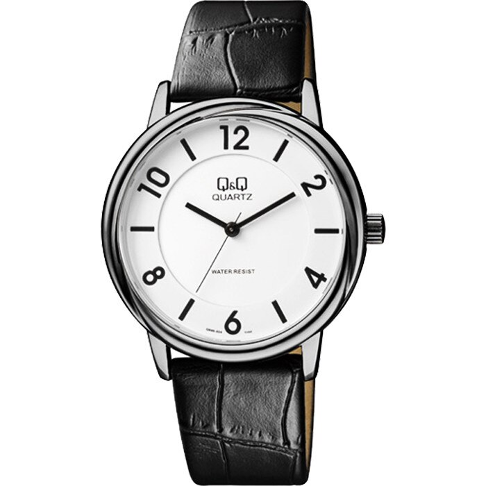 Ceas barbatesc Q&Q Q896J504Y