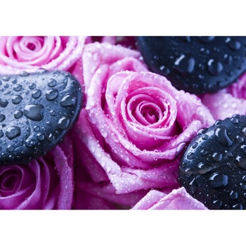 Fototapet DEGRETS 83765 Trandafiri Relaxare 184x254cm Fototapet DEGRETS 83765 Trandafiri Relaxare 184x254cm