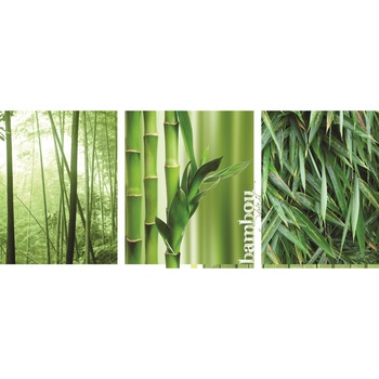 Fototapet DEGRETS 83770 Padure Bamboo Vlies 104x250cm Fototapet DEGRETS 83770 Padure Bamboo Vlies 104x250cm