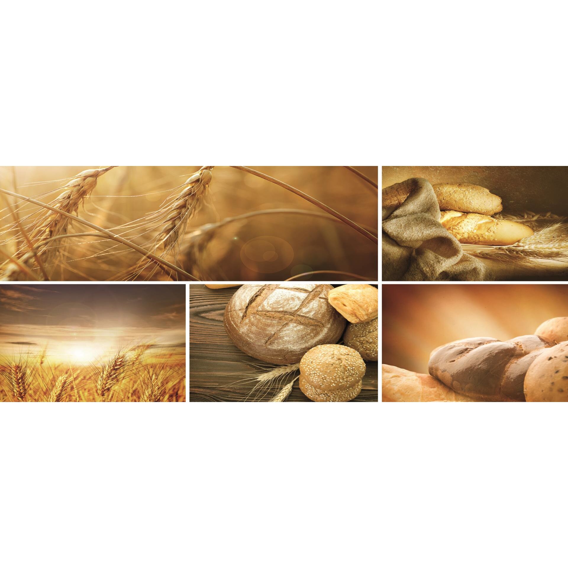 Fototapet DEGRETS 83785 Grau Vlies 104x250cm