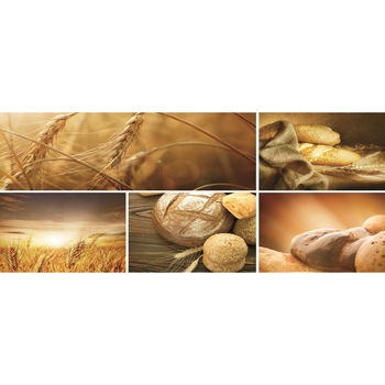 Fototapet DEGRETS 83785 Grau Vlies 104x250cm Fototapet DEGRETS 83785 Grau Vlies 104x250cm