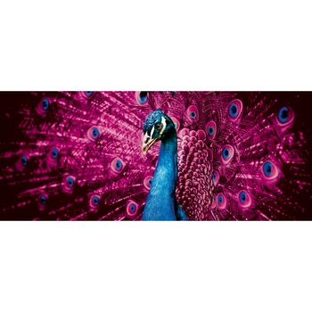 Fototapet DEGRETS 83800 Cocos Vlies 104x250cm Fototapet DEGRETS 83800 Cocos Vlies 104x250cm